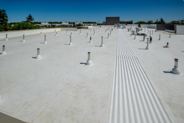 Roof Coating Services in Albertville, MN